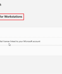 Buy Windows 11 Pro for Workstations Product Key