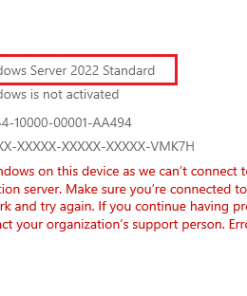 Windows Server 2022 Standard product key