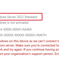 Windows Server 2022 Standard product key