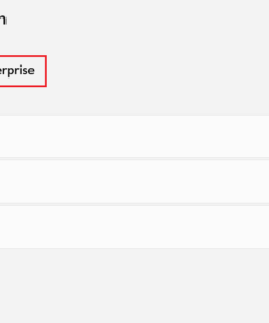 Cheap Windows 11 Enterprise product key