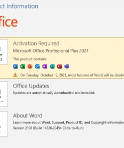 Microsoft Office 2021 product key