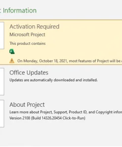Microsoft Project Pro 2021 Product Key 1 PC