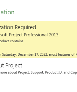 Cheap Microsoft Project Pro 2013 product key