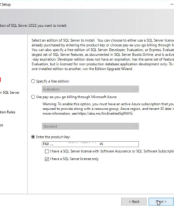 Buy Microsoft SQL Server 2022 Key Online