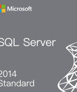 Buy SQL Server 2014 Standard Key Online