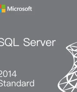 Buy SQL Server 2014 Standard Key Online